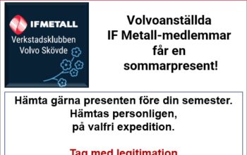 Skärmbild 2023-06-19 125731